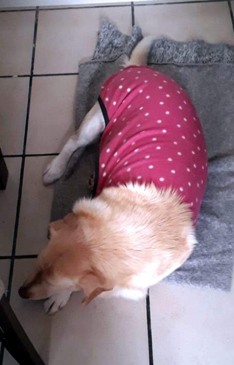 tita vestida a la moda