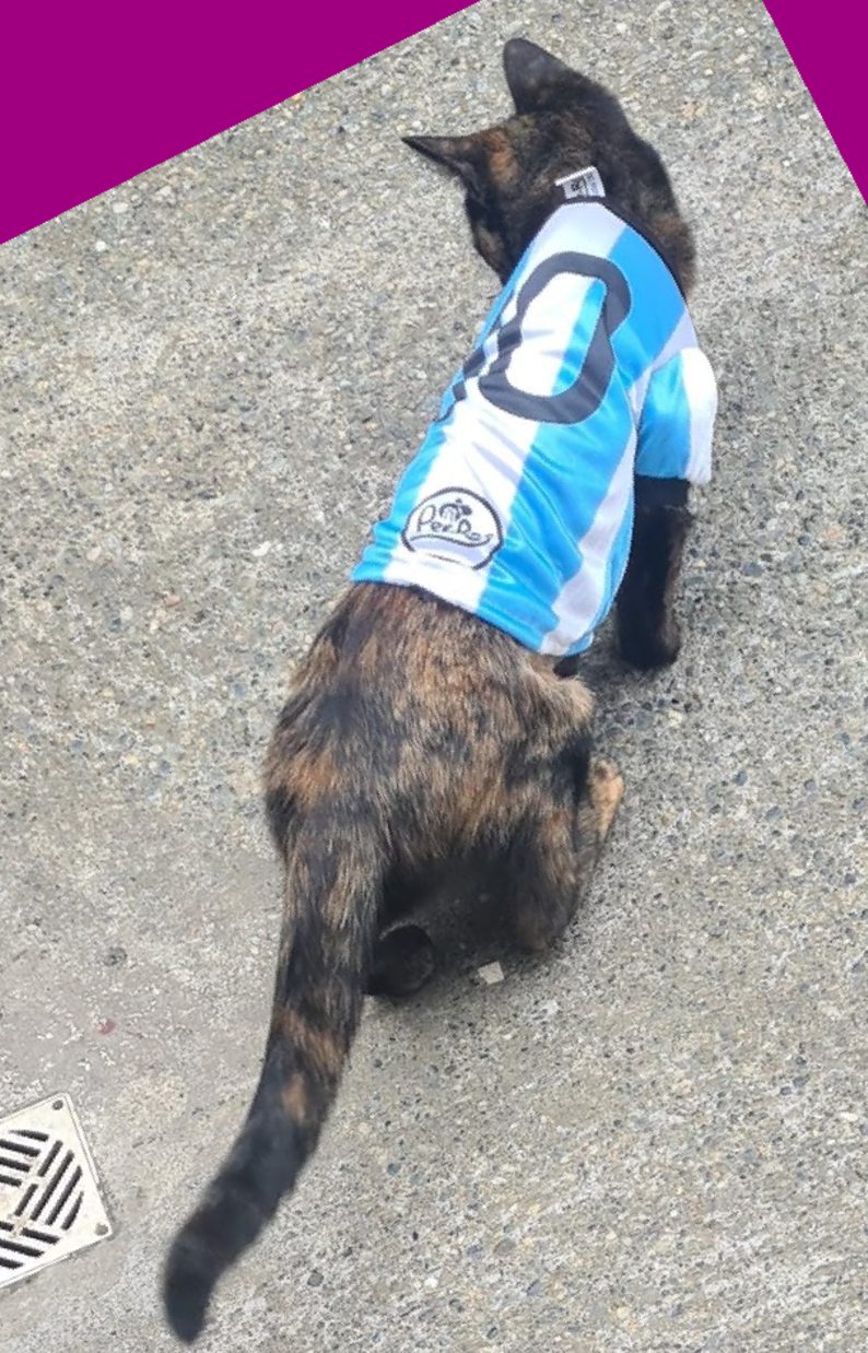 zoar, fan de messi