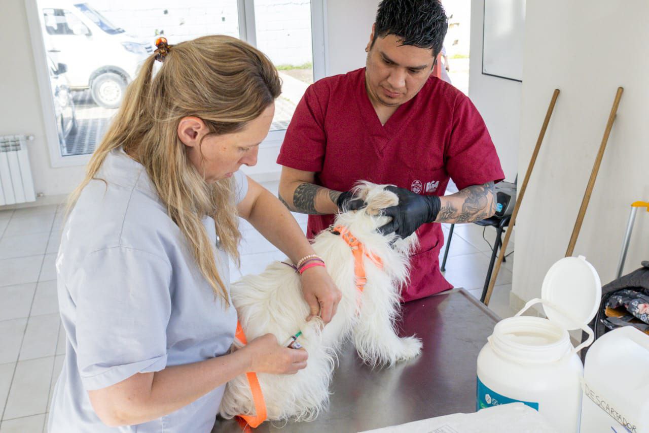 rÍo grande mascotera