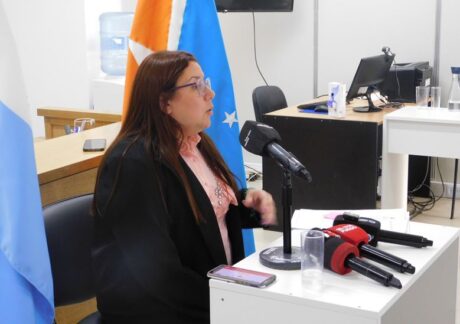 fiscal monica madri