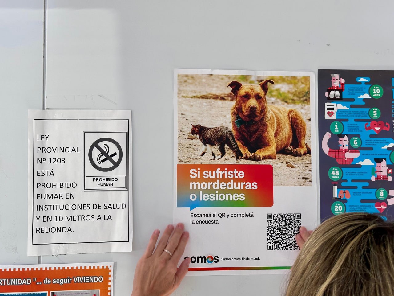 Habilitan una aplicación para registrar mordeduras de perros