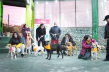 jornada de adopciÓn en el paseo canto del viento
