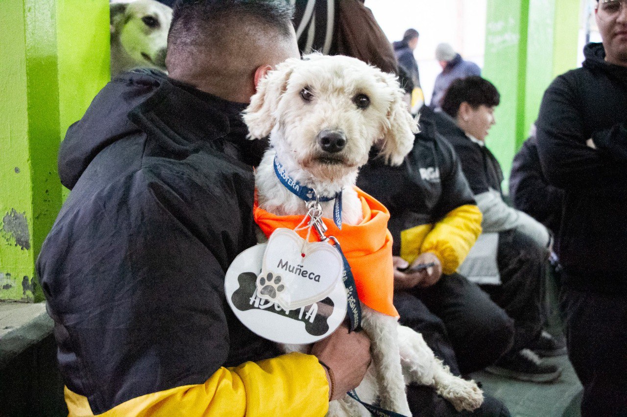 rga mascotera tenencia responsable perros y gatos