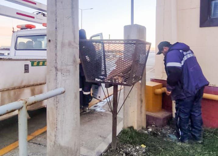 Retoman con normalidad la atención en Casa Municipal