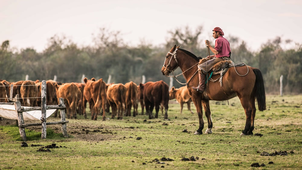 Capataces y encargados rurales cobrarán más de un millón de pesos