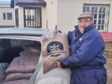 productores