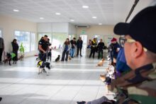 taller de adiestramiento canino en el ccm del barrio perÓn