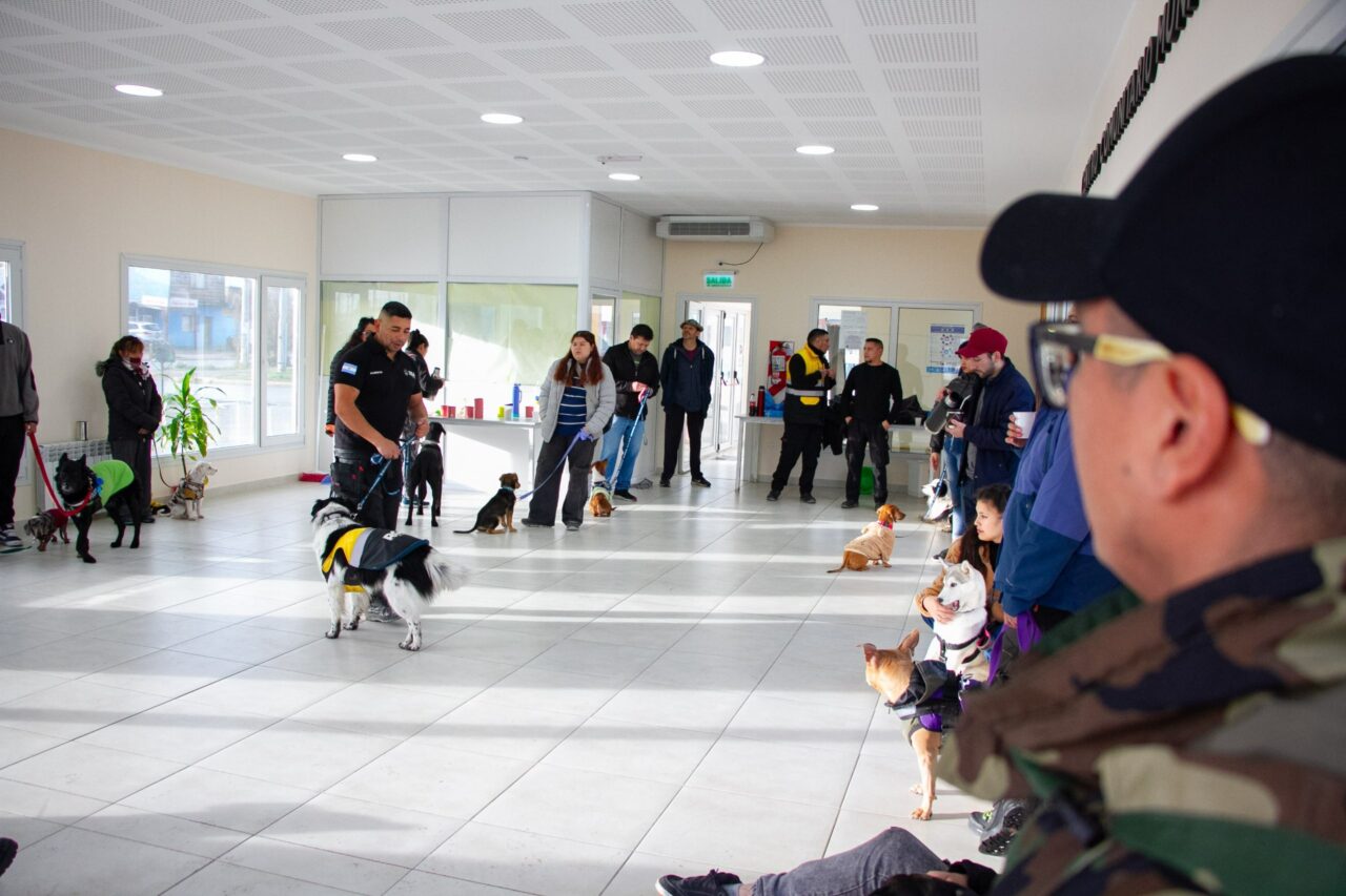 taller de adiestramiento canino en el ccm del barrio perÓn