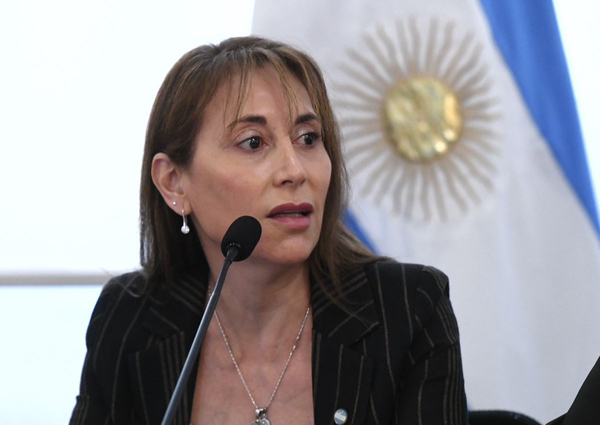 Buscan fortalecer la soberanía con vuelos comerciales entre Tierra del Fuego y la Antártida