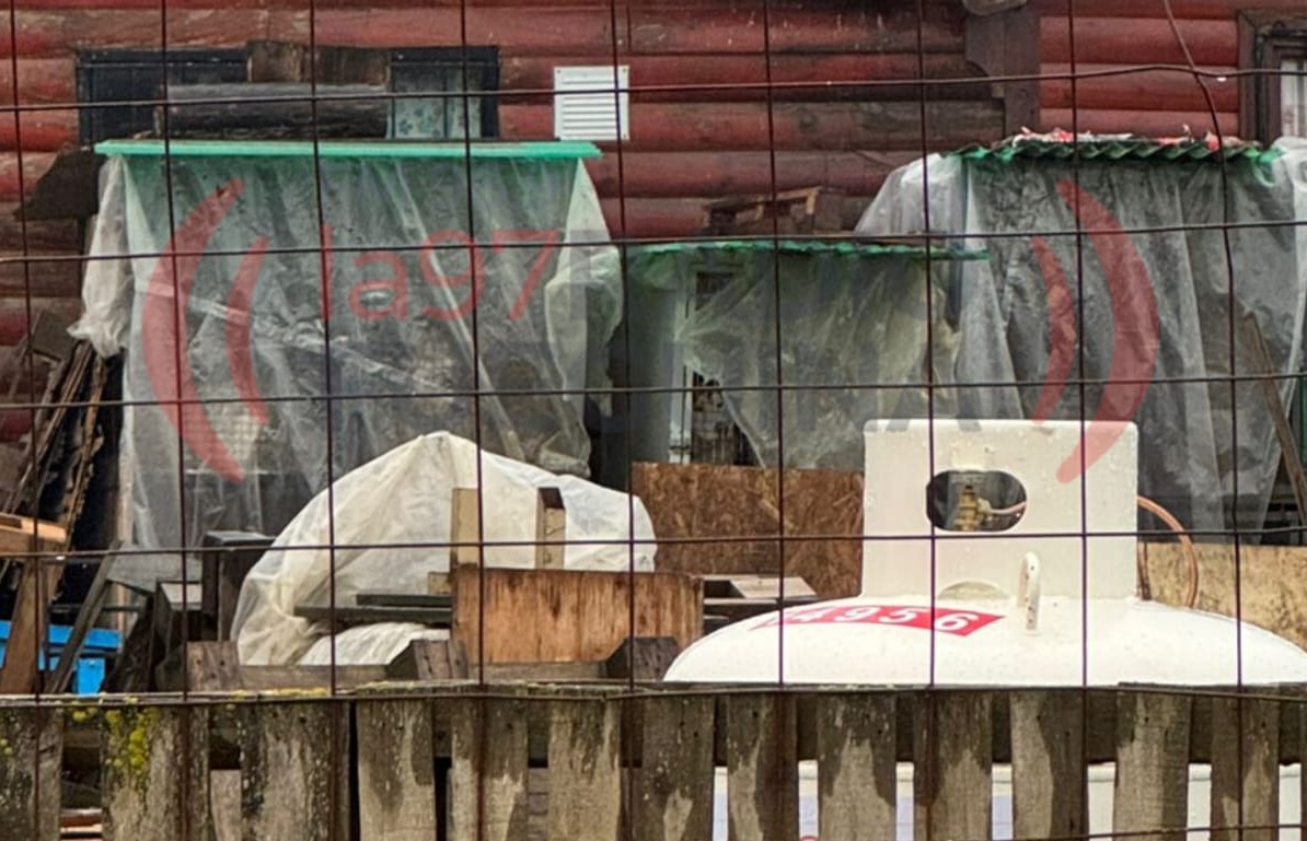 URGENTE: Denuncian un criadero clandestino de Huskies en la Margen Sur