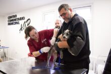 zoonosis perros animales mascotas