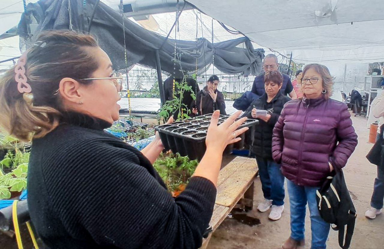 El CAAD visitó el invernadero municipal