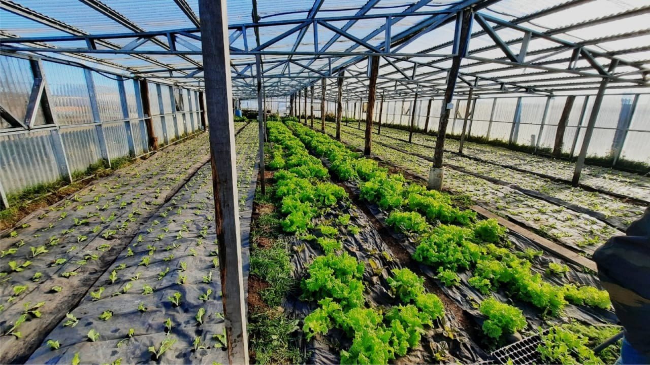 “Cultivando conciencia ambiental”: Un nuevo ciclo de charlas