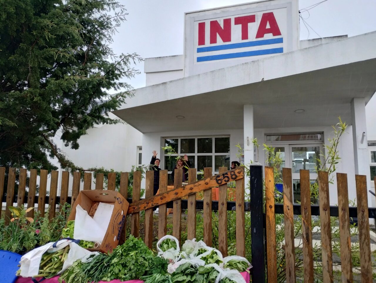 El Gobierno reduce la estructura del INTA en medio de rechazo legislativo