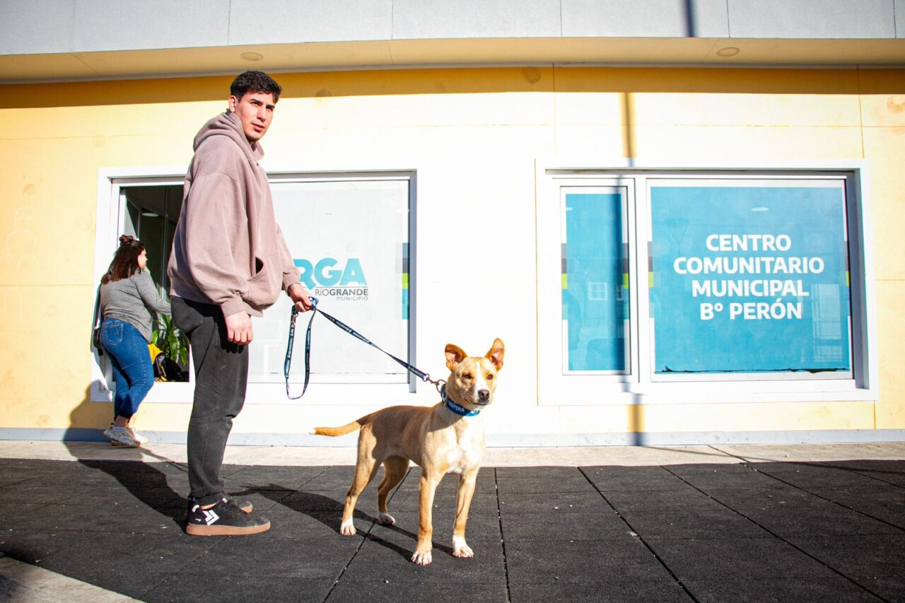 El desafío de los perros sueltos y la mirada del Municipio