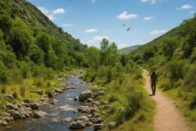 Paisaje serrano con sendero y arroyo en la Reserva Natural Florofaunística de Rincón del Este, en Merlo, San Luis
