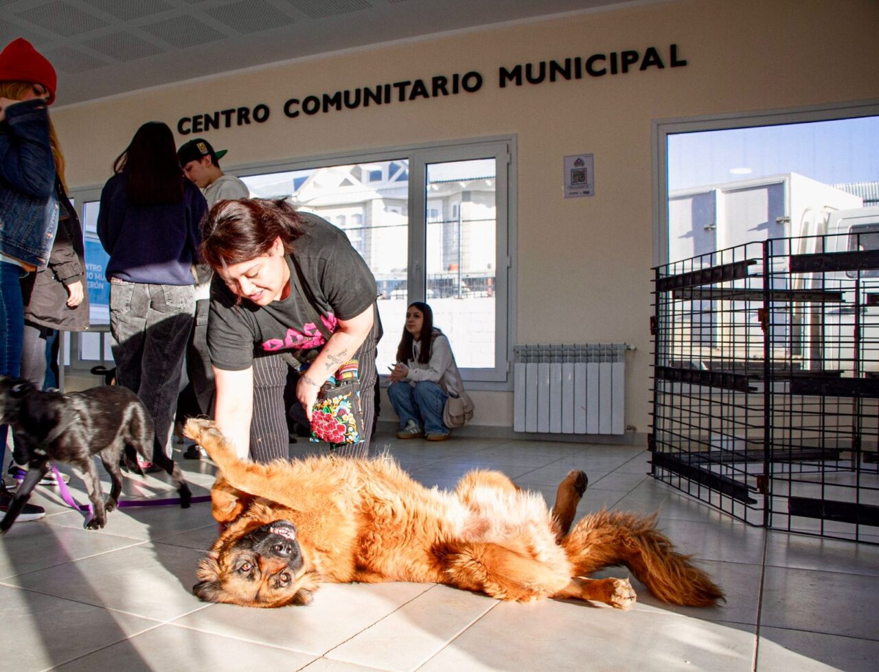 El municipio realiza una nueva jornada de vacunación antirrábica