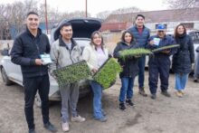 PLANTINES DE HORTALIZAS EN LA TEMPORADA 2025 2026