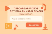 Interfaz de herramienta online para descargar videos de TikTok sin marca de agua