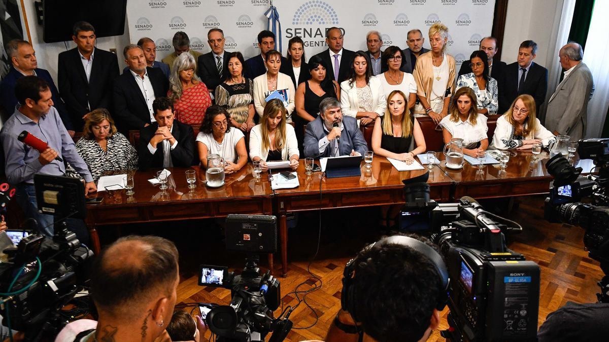 Fuerza Patria presentó un proyecto para derogar los decretos 333 y 334