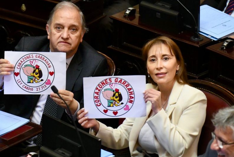 El Senado rechazó los vetos de Milei contra las Universidades y el Hospital Garrahan