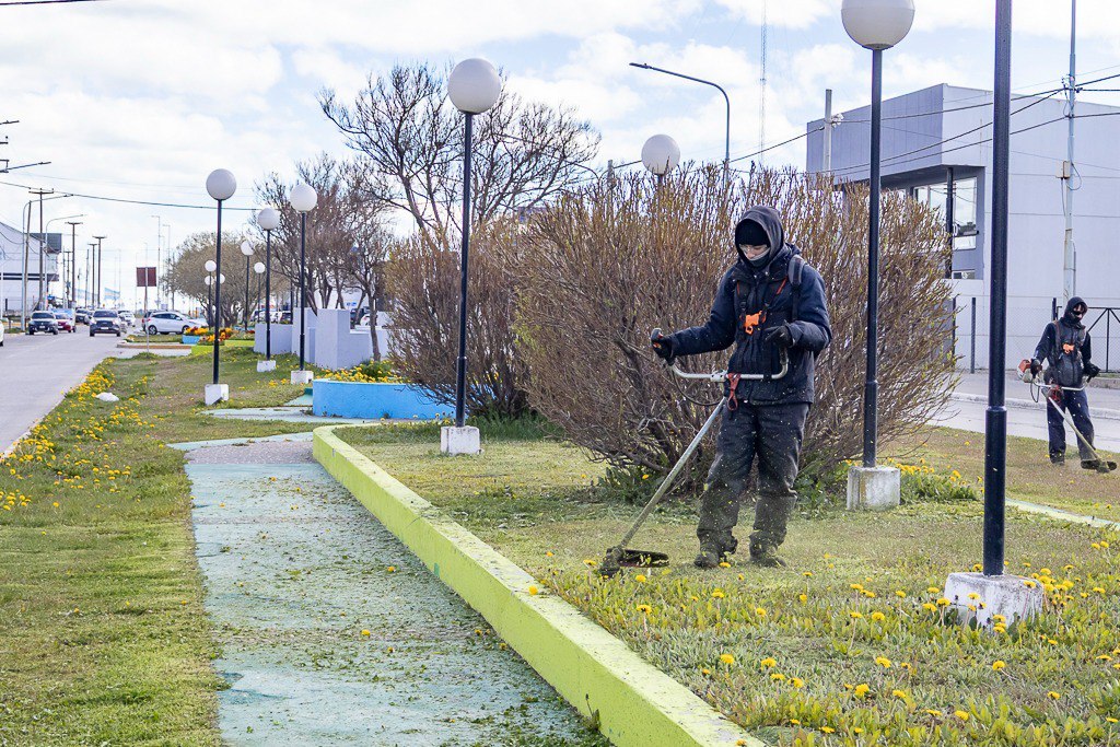 Acondicionan espacios para colocar los  plantines del vivero municipal