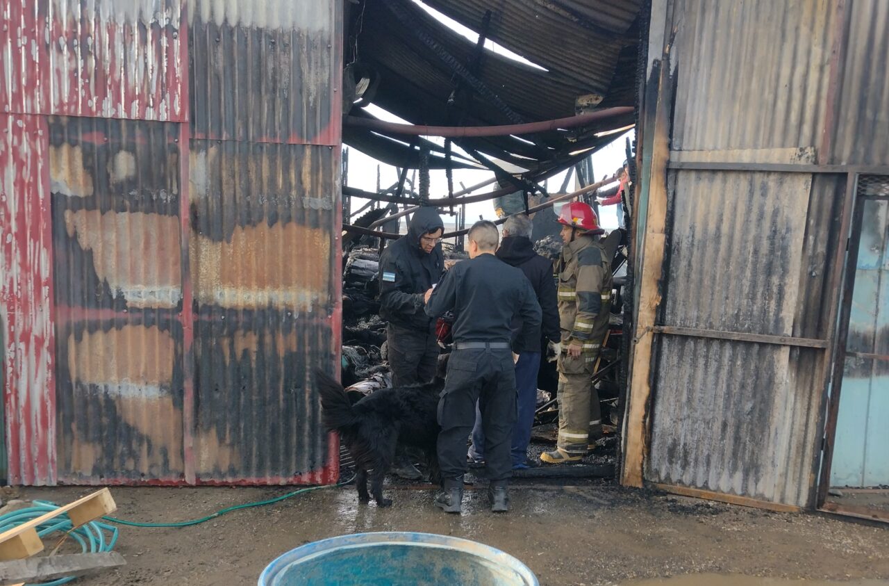 Bomberos combatieron las llamas en un galpón de calle Sarmiento, en Río Grande