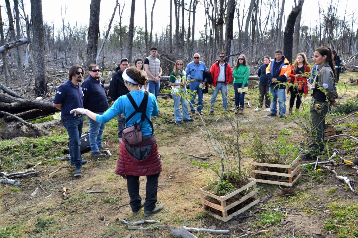 Avanza el trabajo de restauración en la reserva Corazón de la Isla