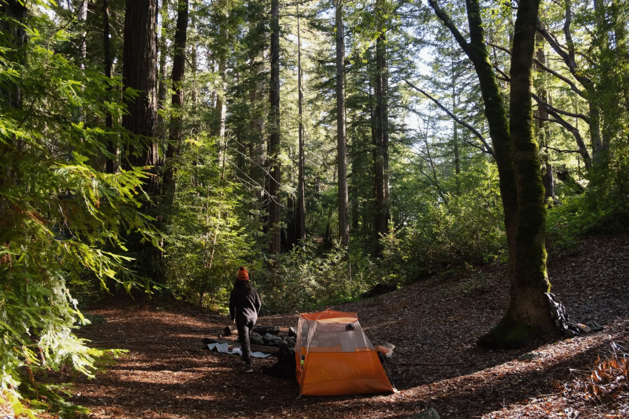 Qué tener en cuenta para los amantes del camping otoñal