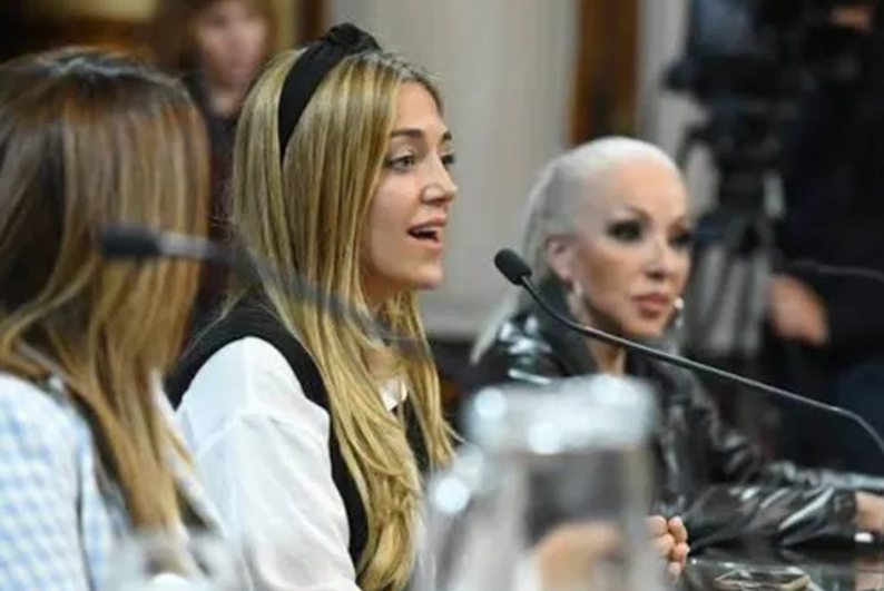 Renunció la referente de Nación en la Comisión del Área Aduanera Especial