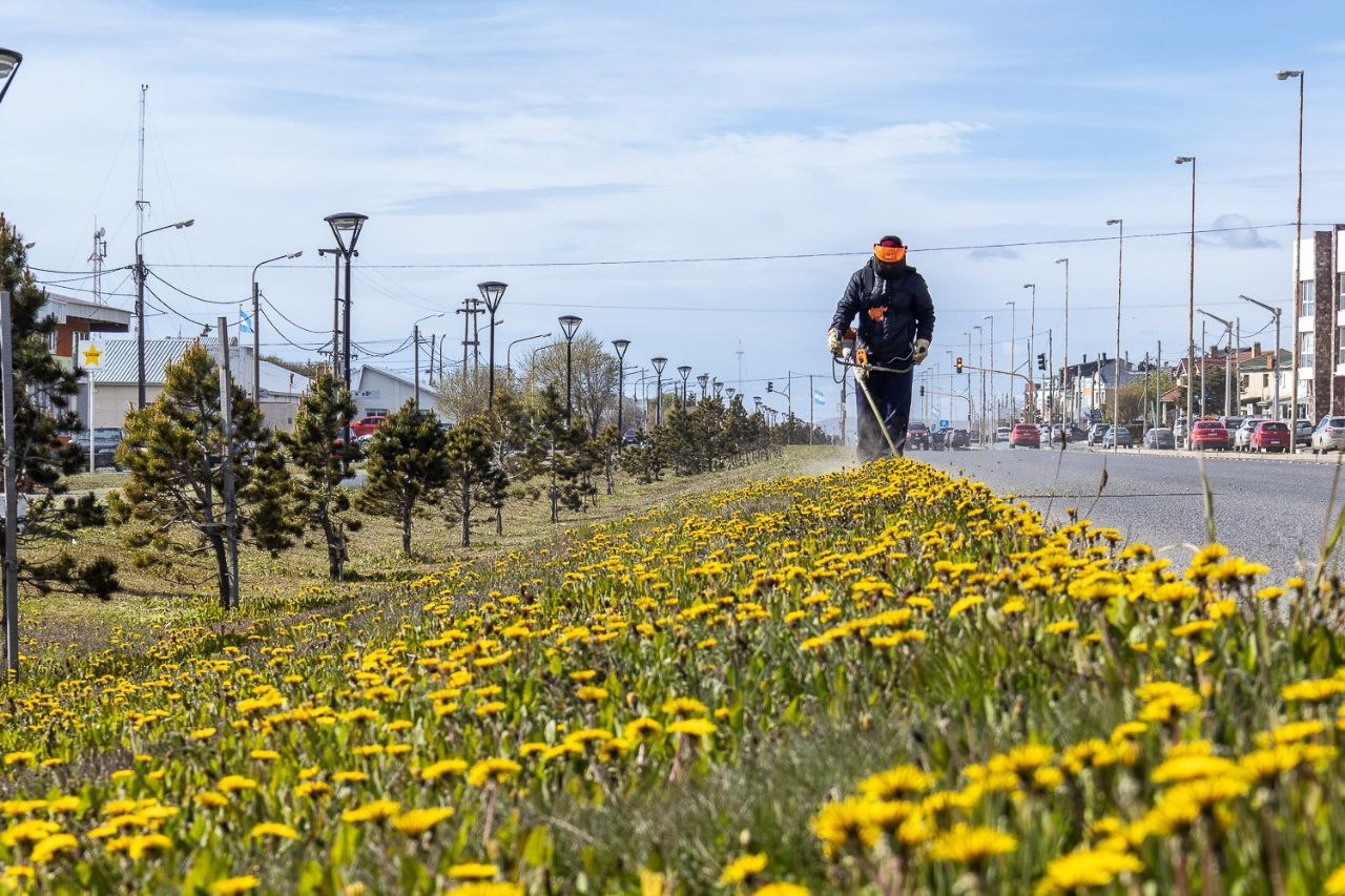 Avanzan con el plan de embellecimiento urbano