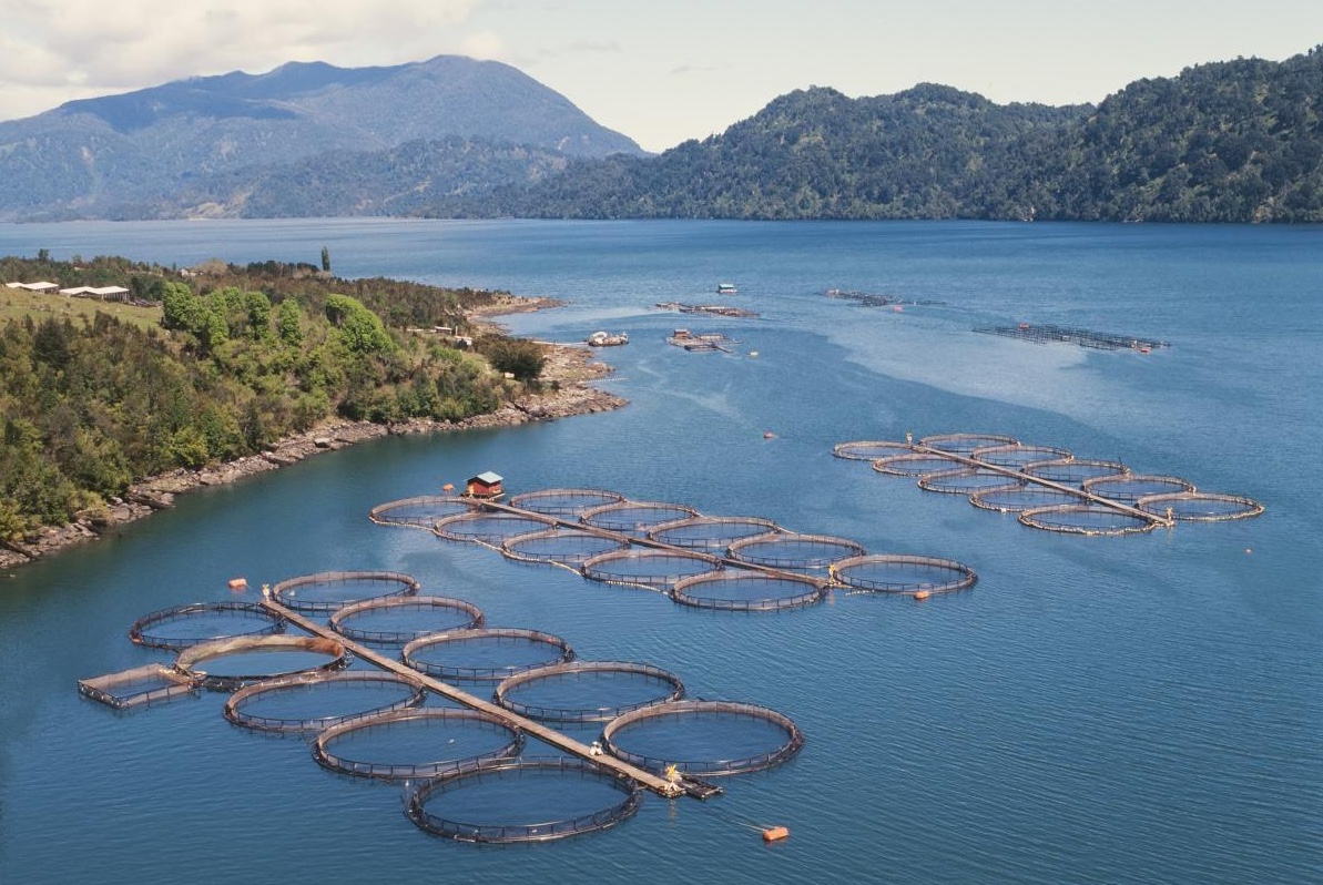¿Desarrollo o daño irreparable para Tierra del Fuego?