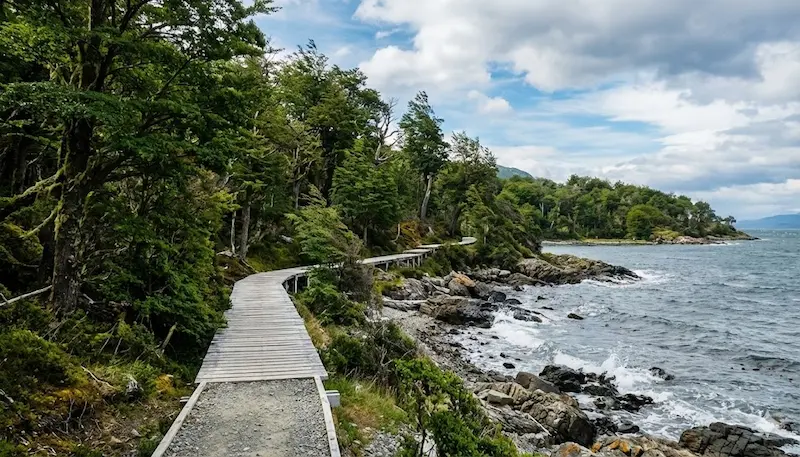 Pasarela de madera junto a la costa con bosque y mar, típica caminata escénica en Tierra del Fuego.