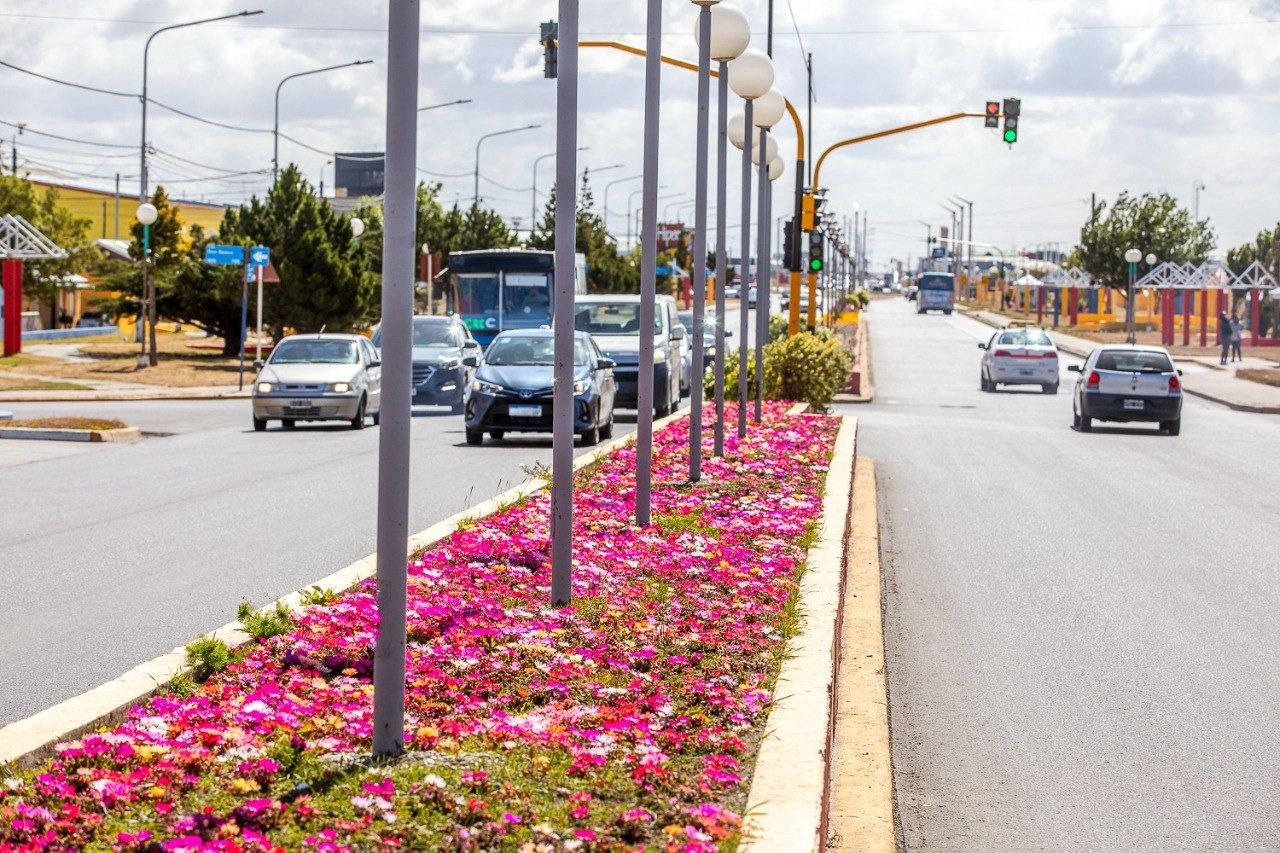 El vivero municipal suma color y belleza a los espacios públicos