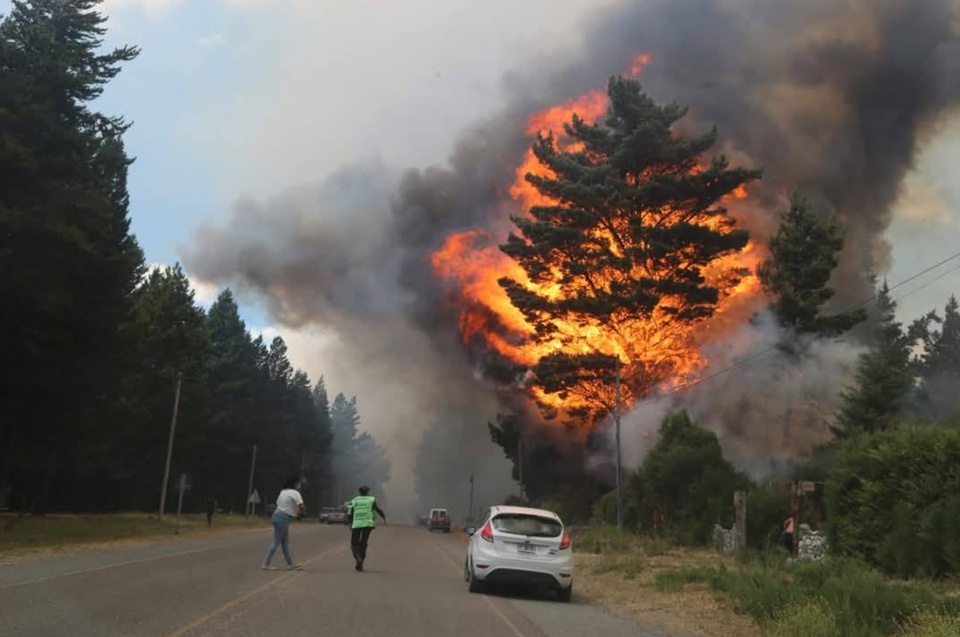 Tras los incendios en Chubut, proponen incorporar el «ecocidio» al Código Penal