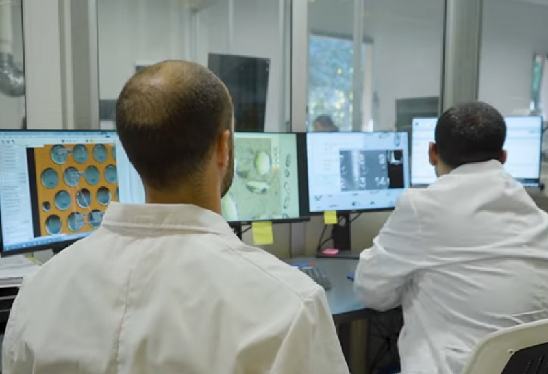 Inscriben para el programa federal de formación «Gestión para el desarrollo»