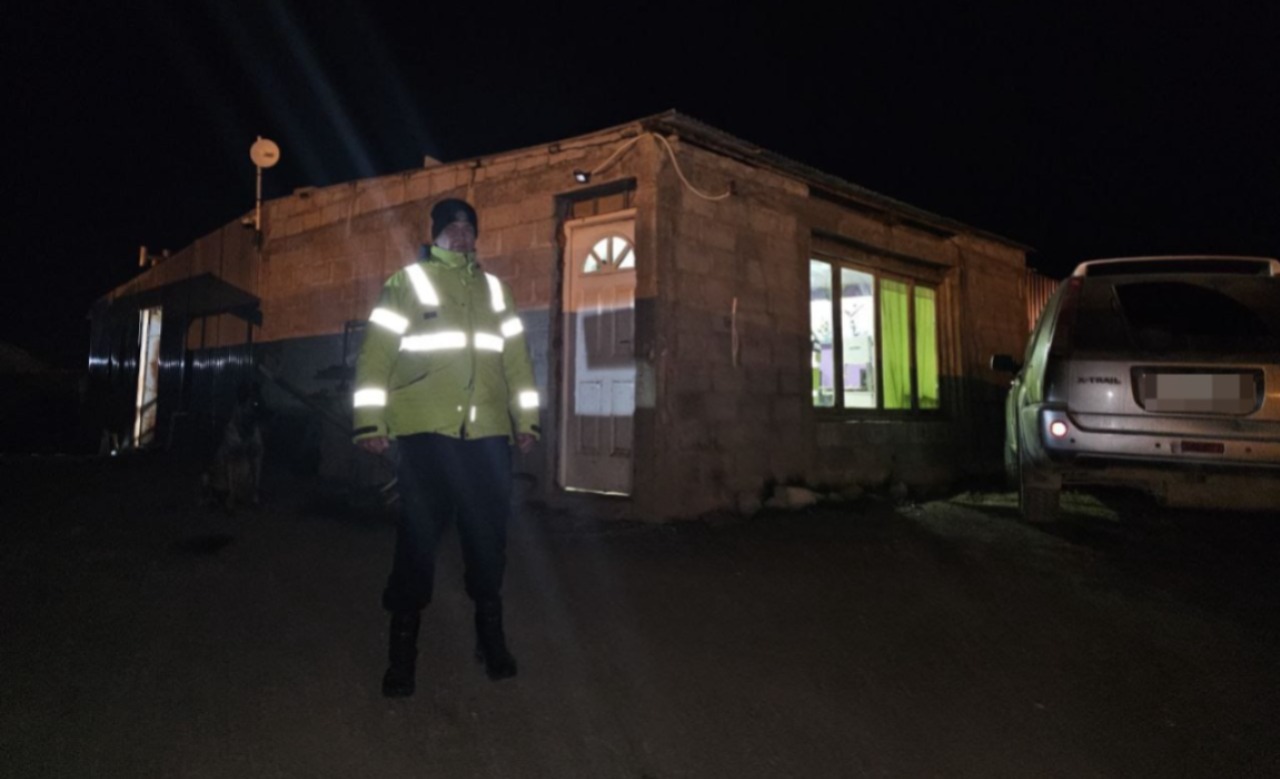 Mataron a tiros a un perro y otro resultó herido