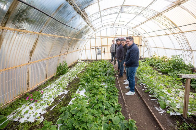 Río Grande impulsa la primera Chacra Agroexperimental Municipal