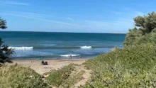 Sendero entre dunas y vegetación que desemboca en una playa con el mar al fondo