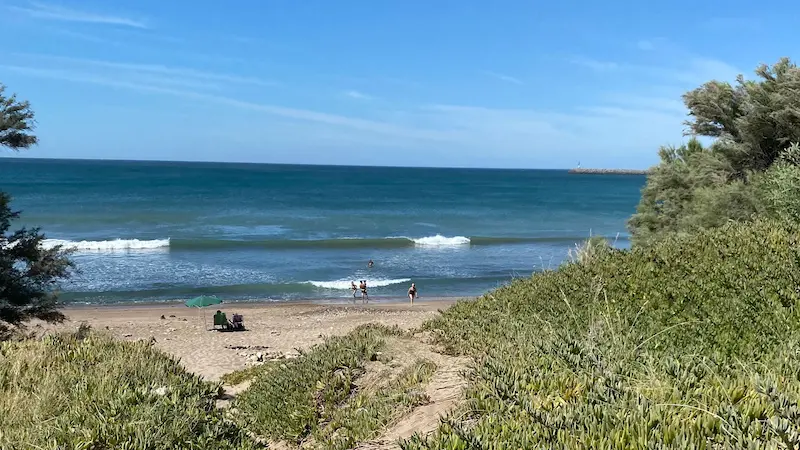 Sendero entre dunas y vegetación que desemboca en una playa con el mar al fondo