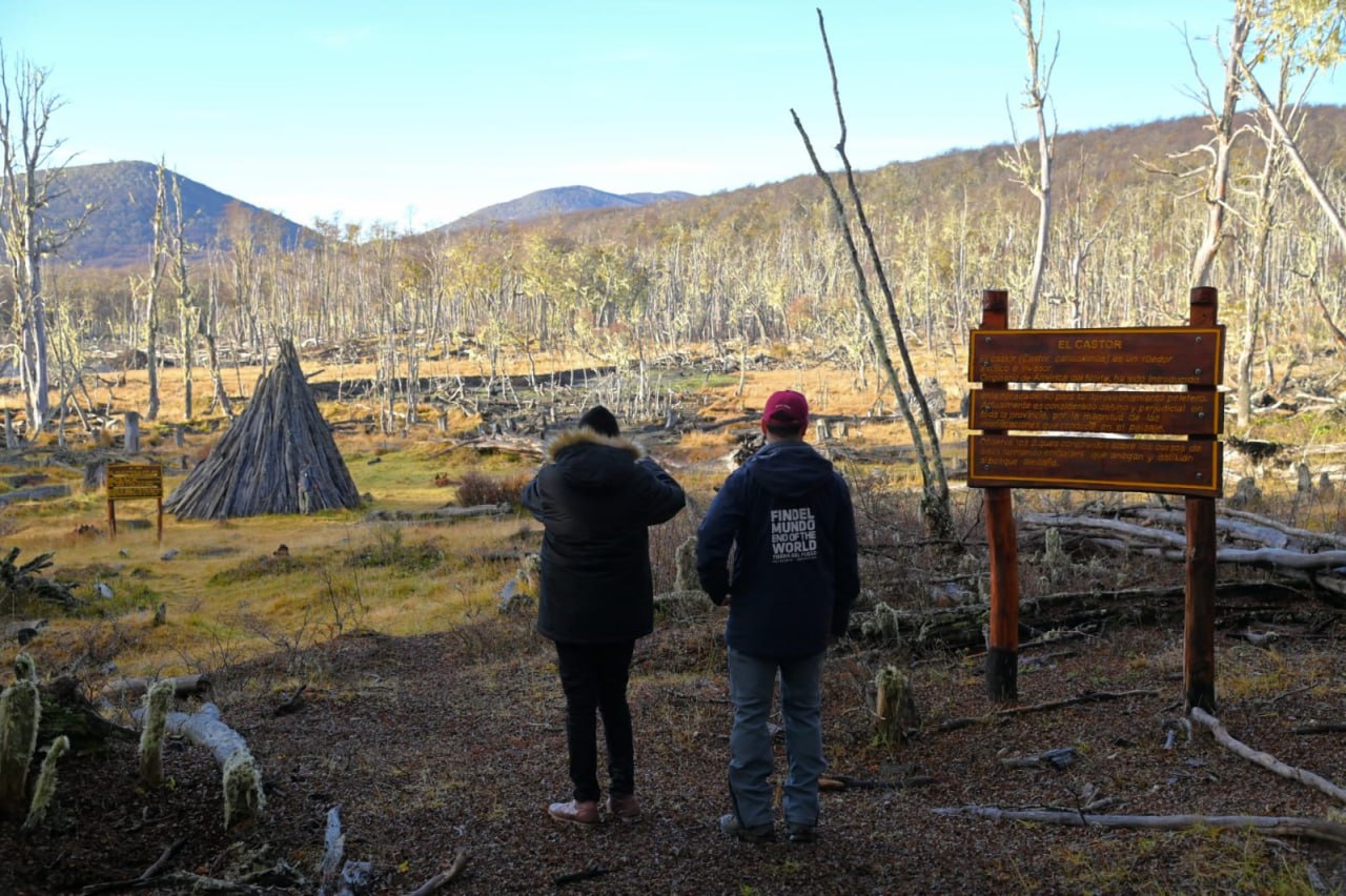 Lanzan el Programa “Otoño del Fuego”
