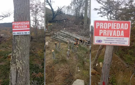 Collage con carteles de Propiedad Privada y troncos cortados en un terreno boscoso de Ushuaia