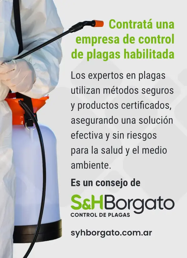 Banner SH Borgato Gleba