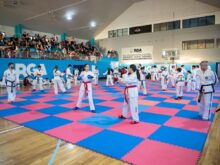 TAEKWONDO