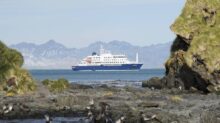 crucero