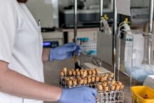 laboratorio