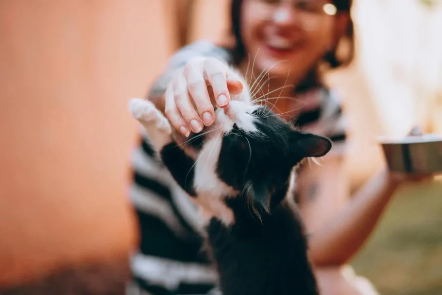 Mujer acaricia a un gato blanco y negro en un ambiente interior cálido