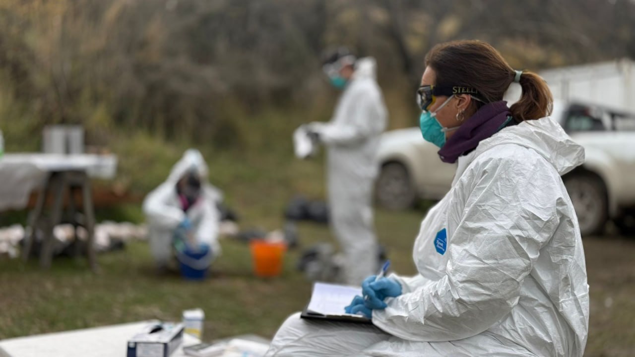 Concluye sin novedad el operativo de vigilancia de hantavirus