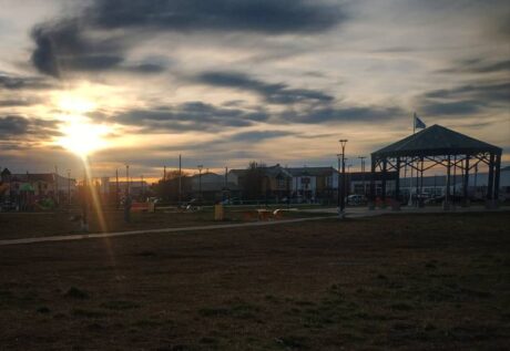 plaza animnales pedro pechar