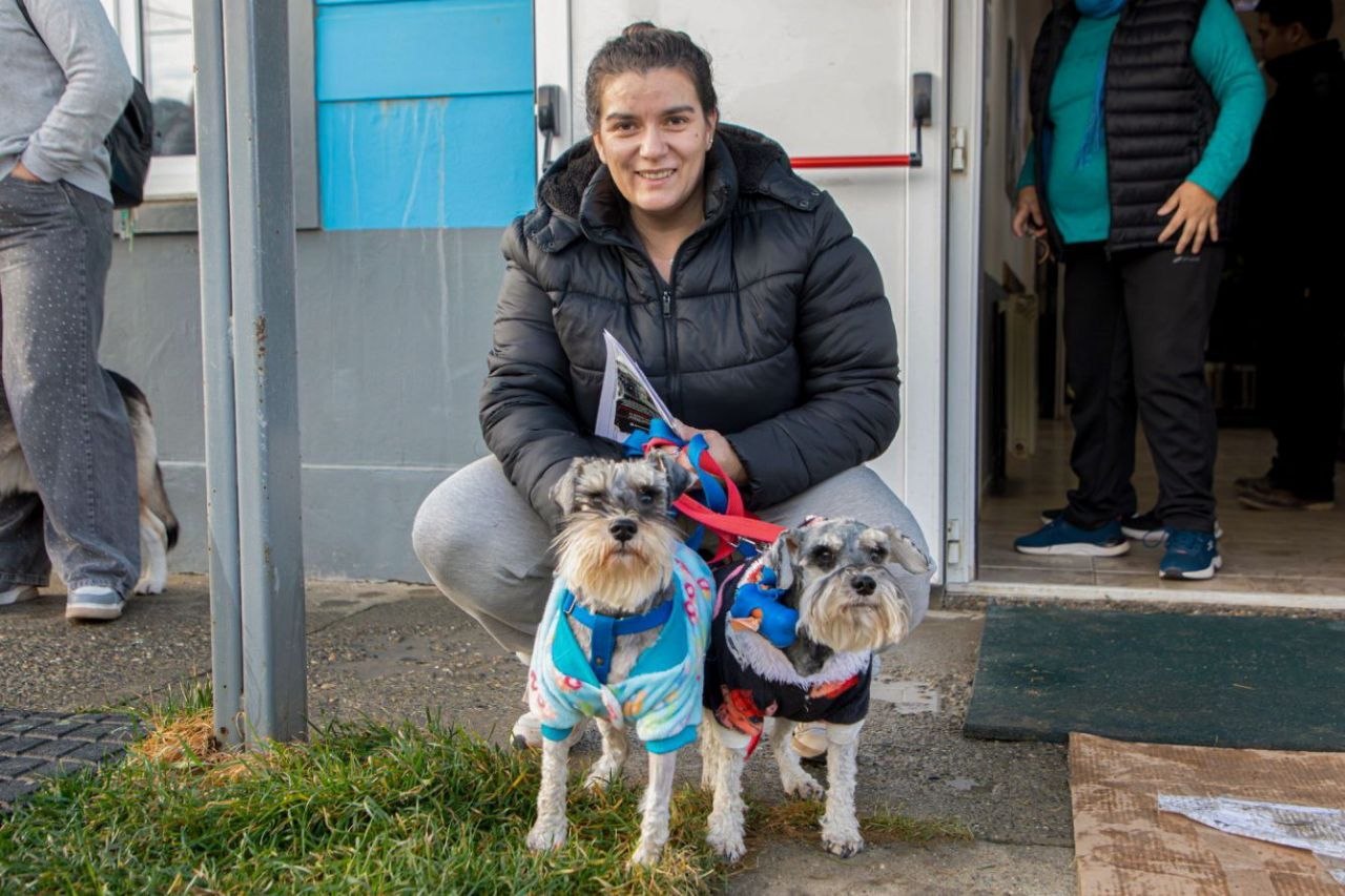 Se viene una nueva jornada de vacunación  y adopción de mascotas
